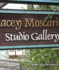 Tracey Moscaritolo Studio Gallery