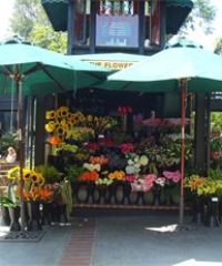 The Flower Stand