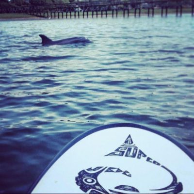 Stand Up Paddle Company
