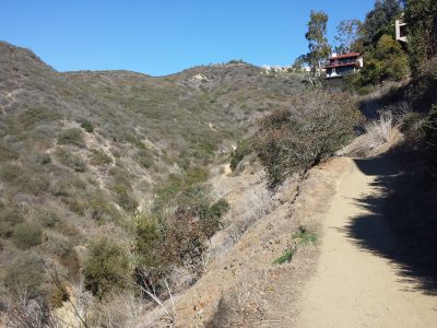 Valido Trail