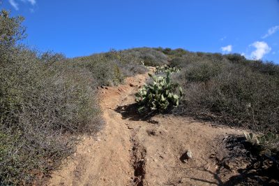 Toovet Trail